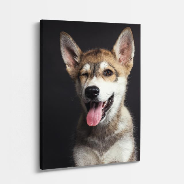 cuadro canvas mascotas sonrisa canina vertical