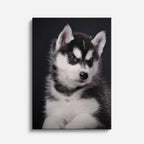 cuadro canvas mascotas husky de nieve vertical