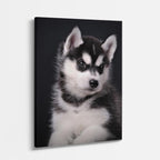 cuadro canvas mascotas husky de nieve vertical