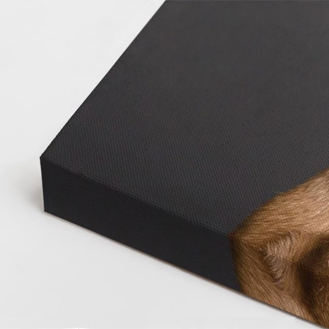 cuadro canvas mascotas vizsla sereno vertical