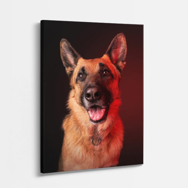 cuadro canvas mascotas guardia carmesí vertical