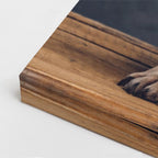 cuadro canvas mascotas bulldog del trono vertical