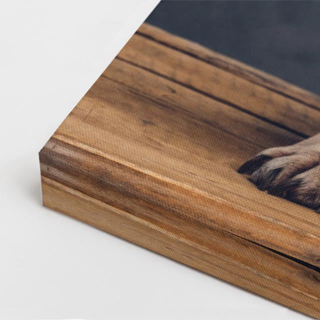 cuadro canvas mascotas bulldog del trono vertical