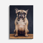 cuadro canvas mascotas bulldog del trono vertical