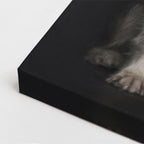 cuadro canvas mascotas dúo fraterno vertical