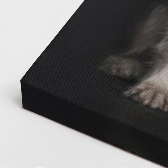 cuadro canvas mascotas dúo fraterno vertical