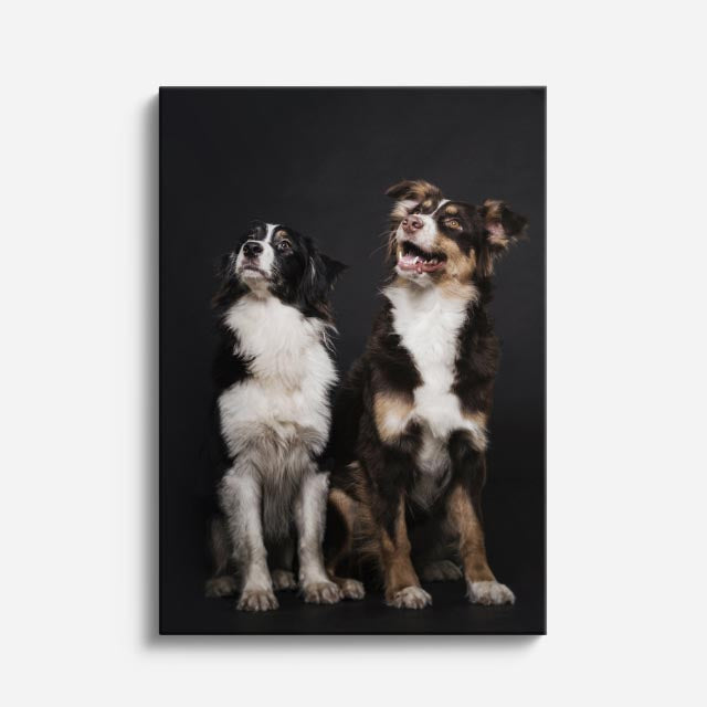 cuadro canvas mascotas dúo fraterno vertical