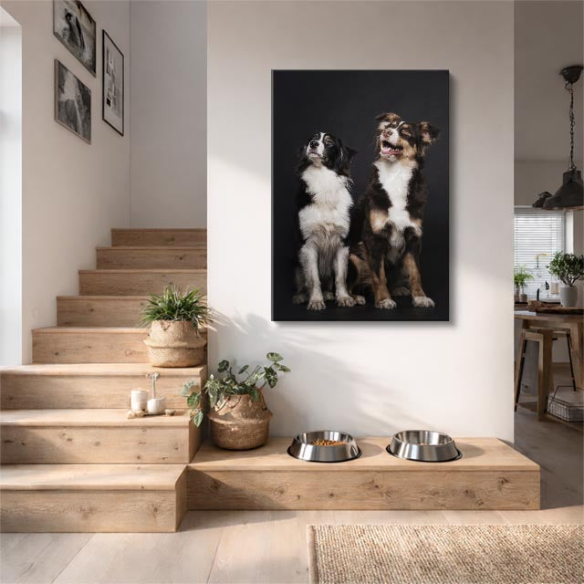 cuadro canvas mascotas dúo fraterno vertical
