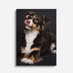cuadro canvas mascotas cachorro festivo vertical
