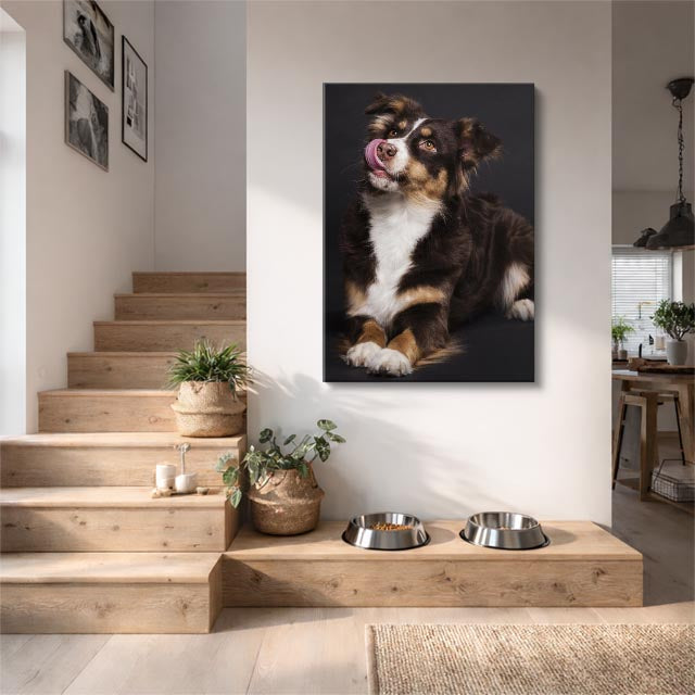 cuadro canvas mascotas cachorro festivo vertical