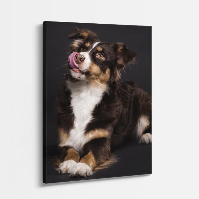 cuadro canvas mascotas cachorro festivo vertical