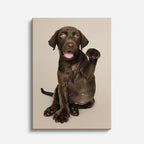 cuadro canvas mascotas chocolate travieso vertical