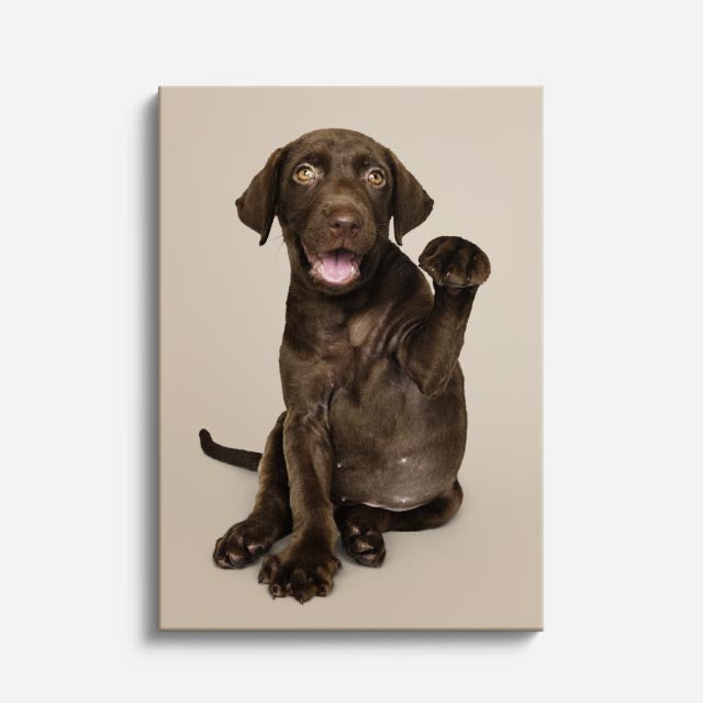 cuadro canvas mascotas chocolate travieso vertical