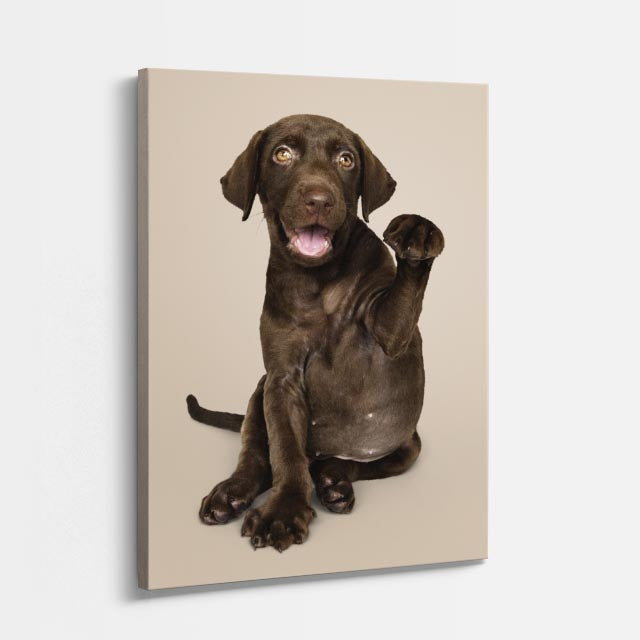 cuadro canvas mascotas chocolate travieso vertical