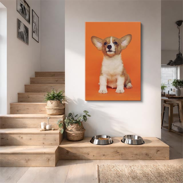 cuadro canvas mascotas príncipe chihuahua vertical