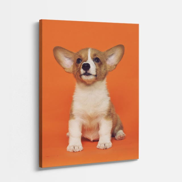 cuadro canvas mascotas príncipe chihuahua vertical