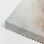 cuadro canvas mascotas bulldog de marfil vertical
