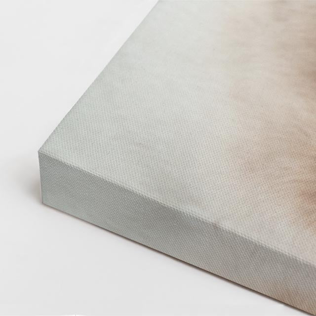 cuadro canvas mascotas bulldog de marfil vertical
