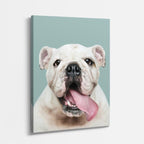 cuadro canvas mascotas bulldog de marfil vertical