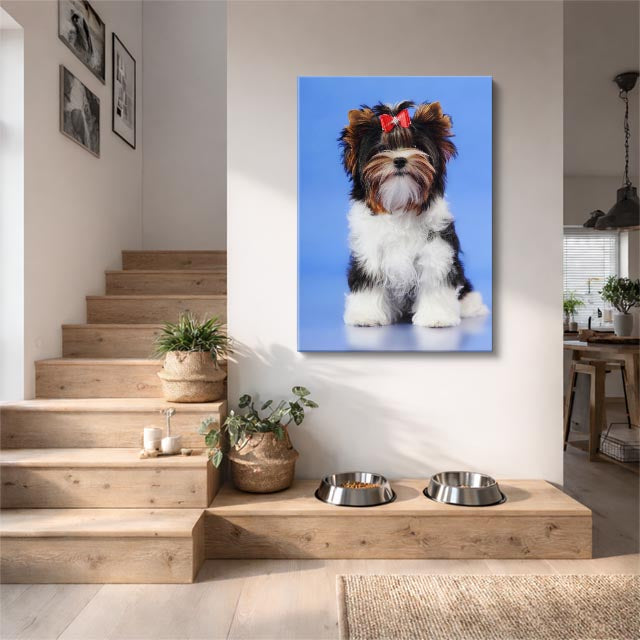 cuadro canvas mascotas yorkie elegante vertical
