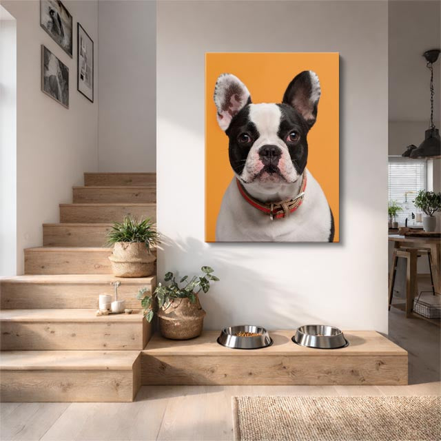 cuadro canvas mascotas duque francés vertical