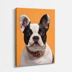 cuadro canvas mascotas duque francés vertical