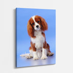 cuadro canvas mascotas spaniel celeste vertical