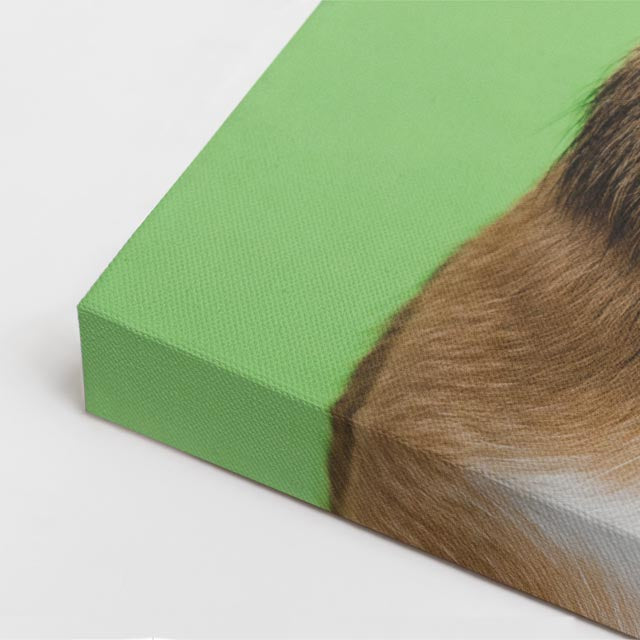 cuadro canvas mascotas perfil curioso vertical