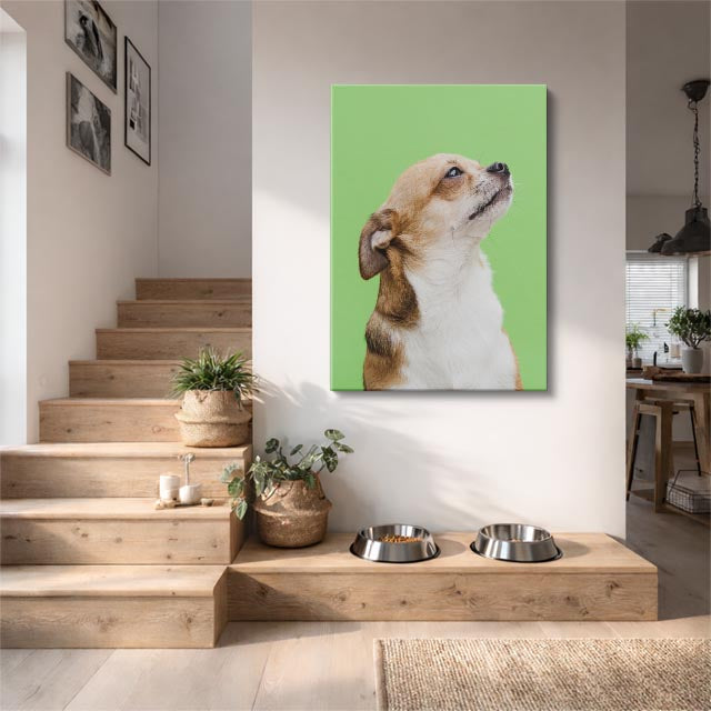 cuadro canvas mascotas perfil curioso vertical