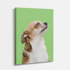 cuadro canvas mascotas perfil curioso vertical