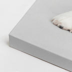 cuadro canvas mascotas beagle de estudio vertical