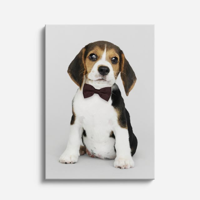 cuadro canvas mascotas beagle de estudio vertical