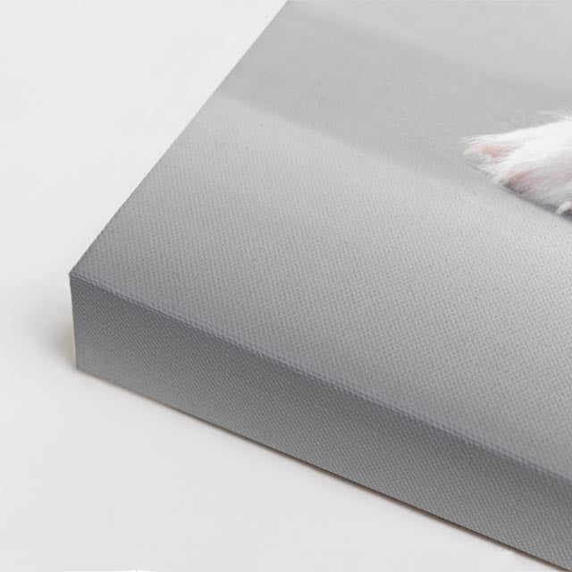 cuadro canvas mascotas niebla plateada vertical