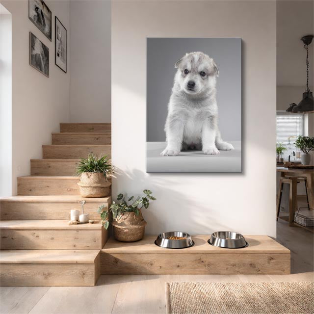 cuadro canvas mascotas niebla plateada vertical