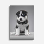 cuadro canvas mascotas guardia miniatura vertical