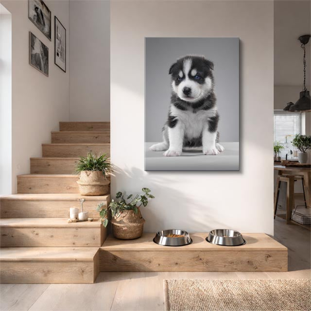 cuadro canvas mascotas guardia miniatura vertical