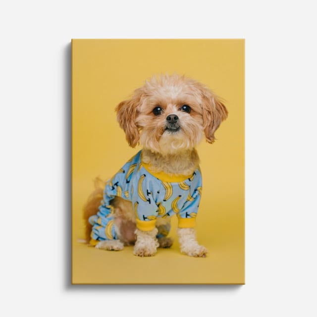 cuadro canvas mascotas caniche de verano vertical