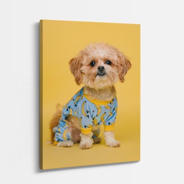 cuadro canvas mascotas caniche de verano vertical