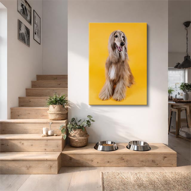 cuadro canvas mascotas afgano imperial vertical