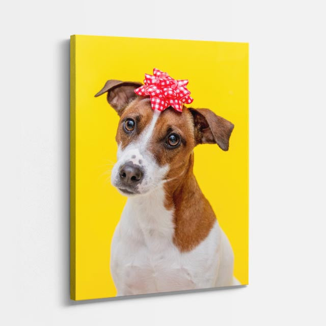 cuadro canvas mascotas flora canina vertical