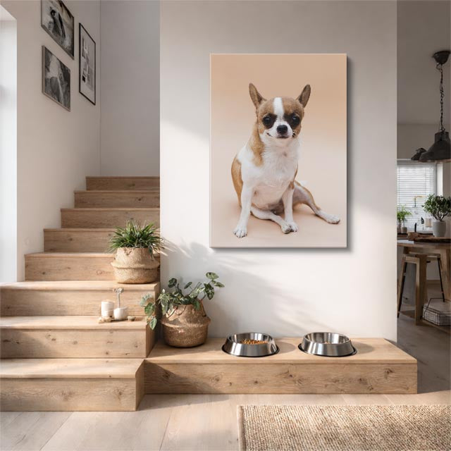 cuadro canvas mascotas chihuahua sereno vertical