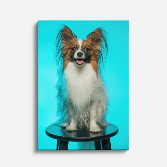 cuadro canvas mascotas papillon de cristal vertical