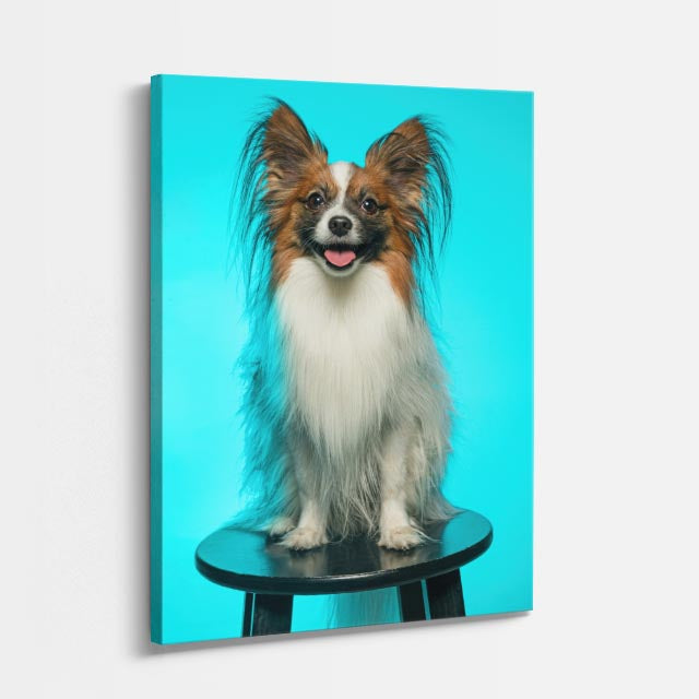 cuadro canvas mascotas papillon de cristal vertical