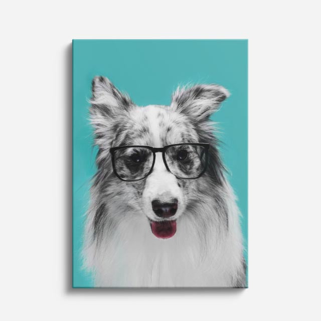 cuadro canvas mascotas sabio canino vertical