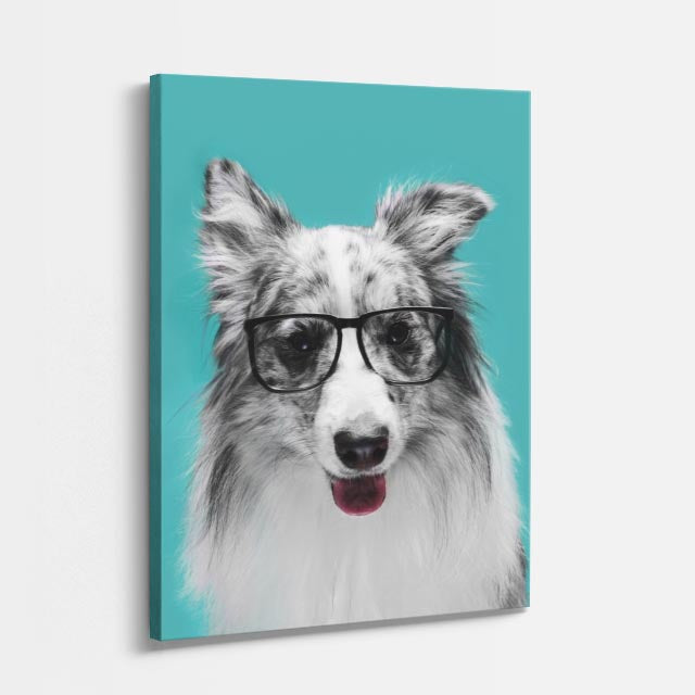 cuadro canvas mascotas sabio canino vertical
