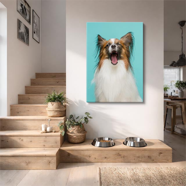 cuadro canvas mascotas papillon sonriente vertical