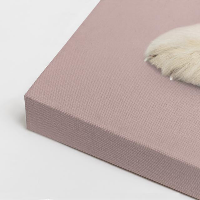 cuadro canvas mascotas nube dorada vertical
