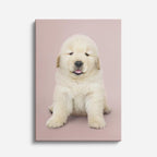 cuadro canvas mascotas nube dorada vertical