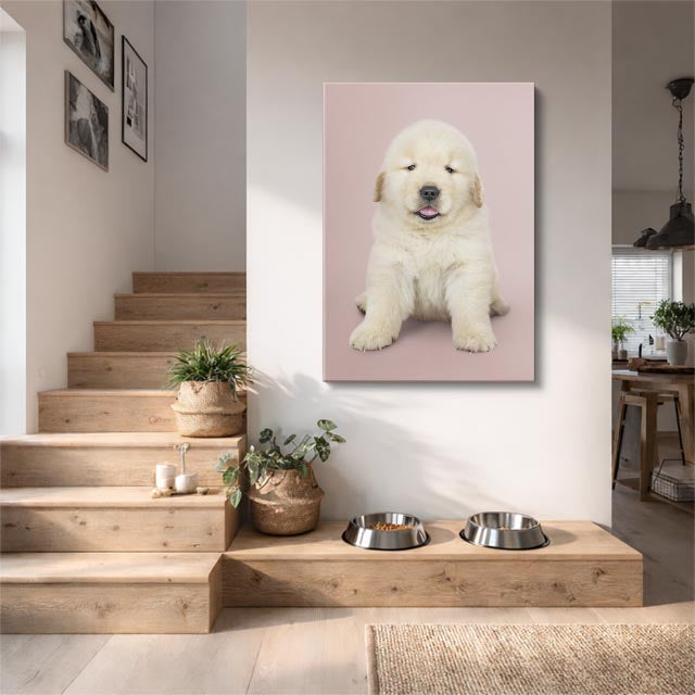 cuadro canvas mascotas nube dorada vertical