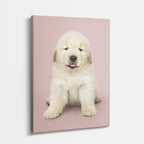 cuadro canvas mascotas nube dorada vertical